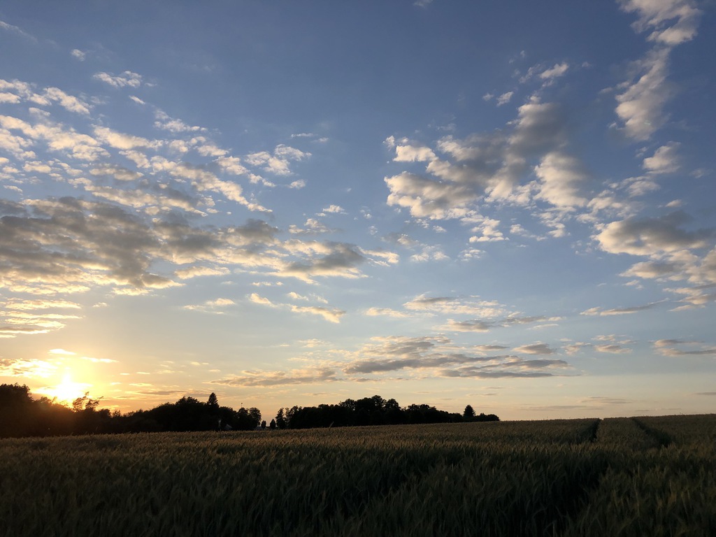 Hochwald – Pension Maßem