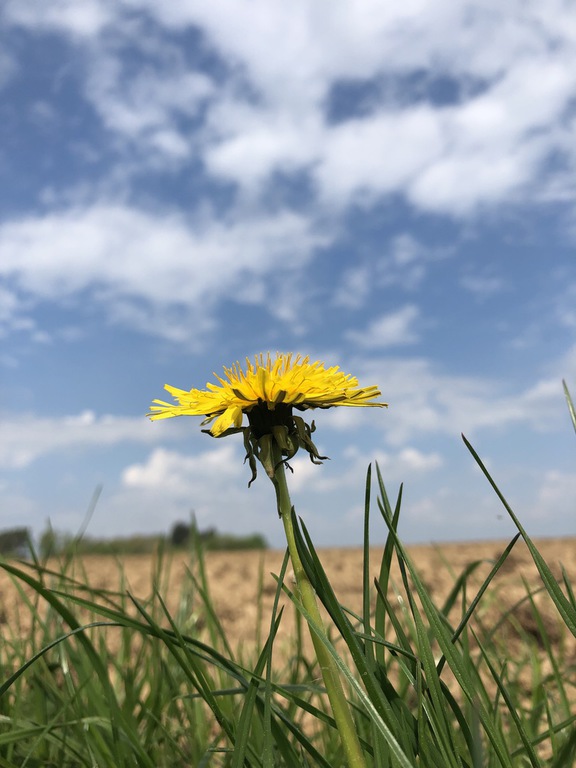 Hochwald – Pension Maßem