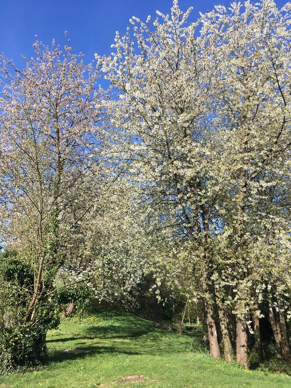 Hochwald – Pension Maßem