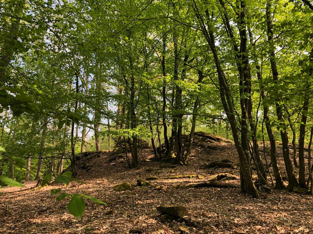 Hochwald – Pension Maßem