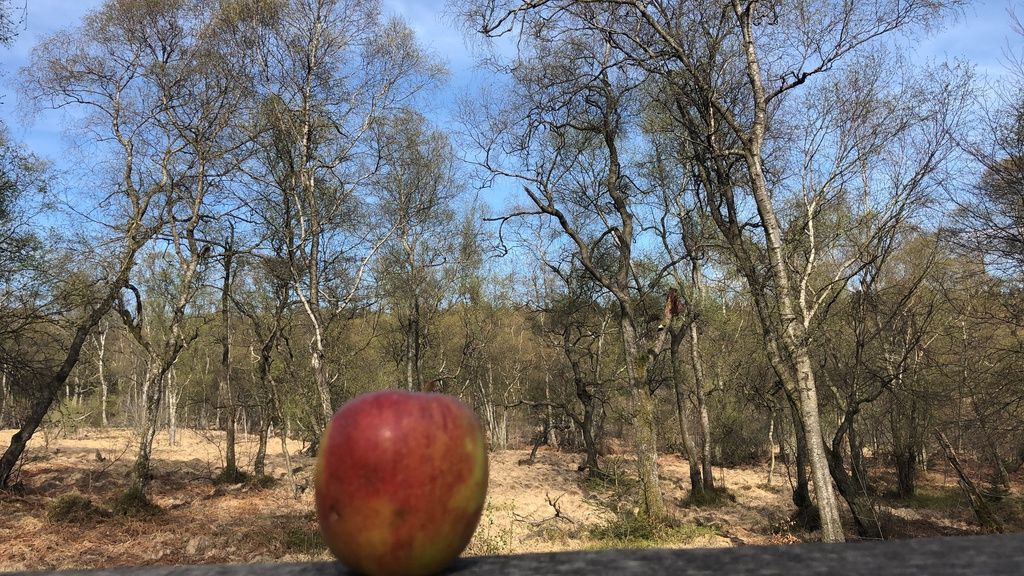 Hochwald – Pension Maßem