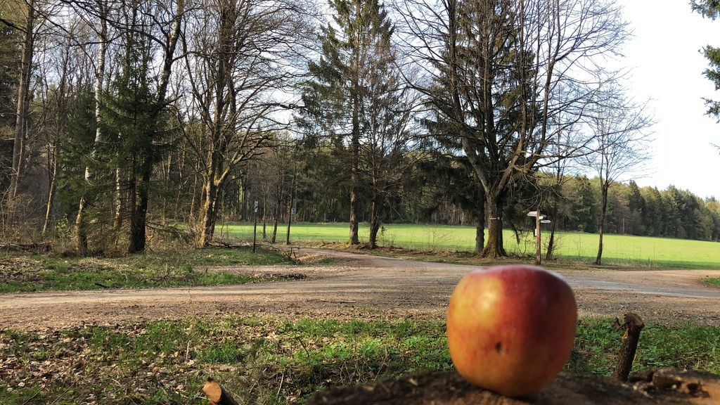 Hochwald – Pension Maßem