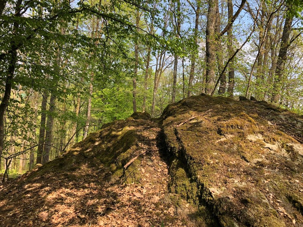 Hochwald – Pension Maßem