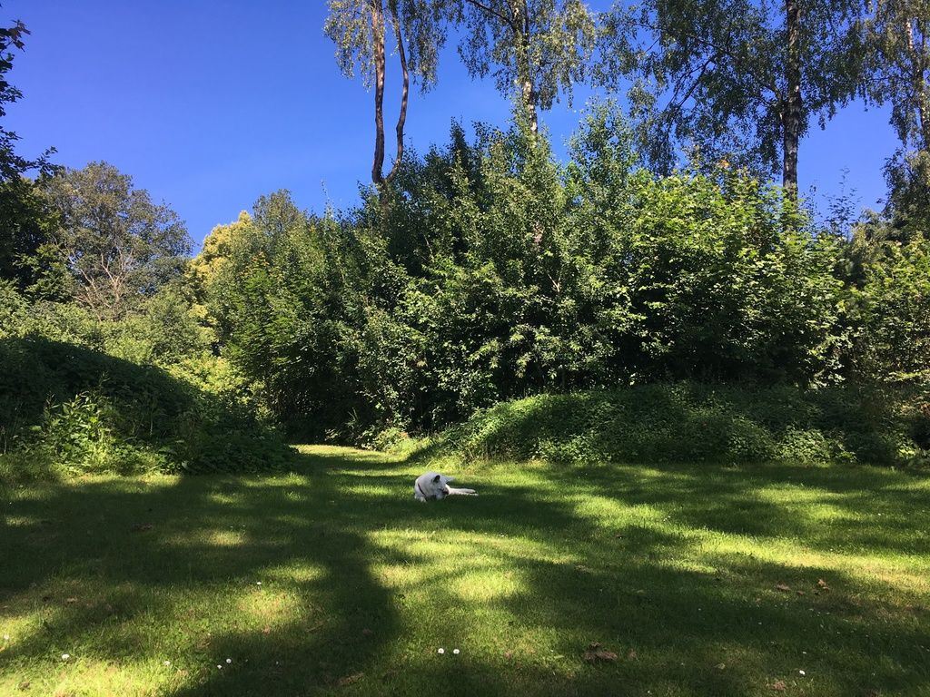 Hochwald – Pension Maßem