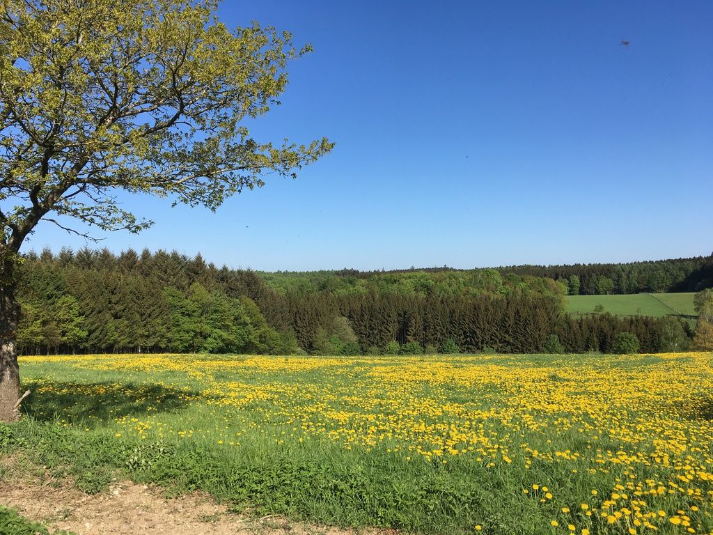 Hochwald – Pension Maßem