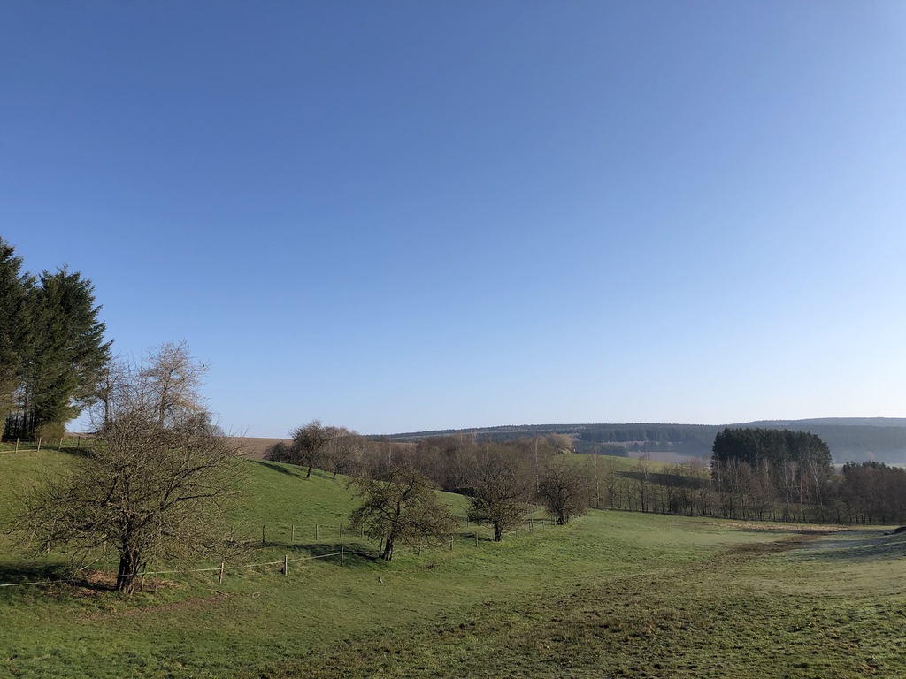 Hochwald – Pension Maßem