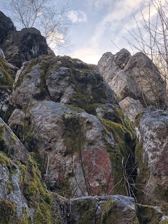 Hochwald – Pension Maßem