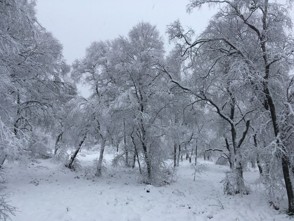 Hochwald – Pension Maßem