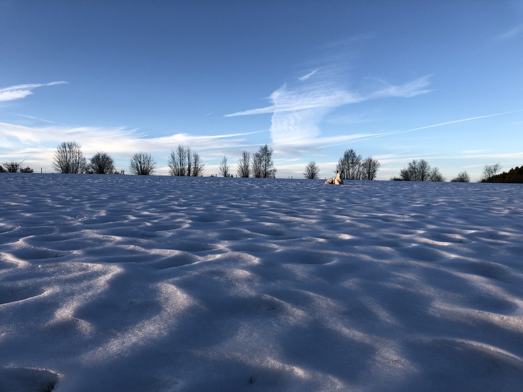 Hochwald – Pension Maßem