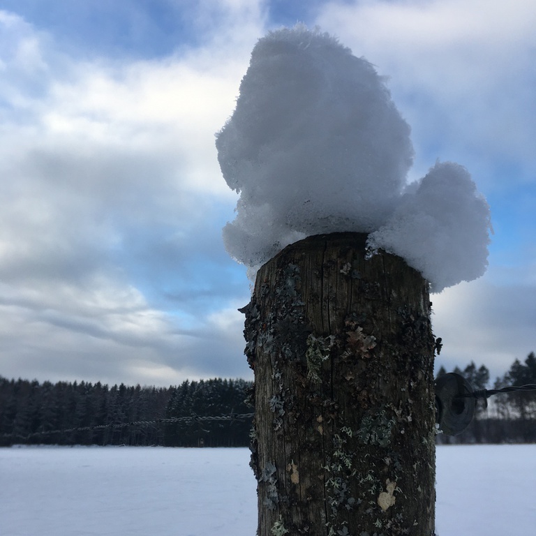 Hochwald – Pension Maßem