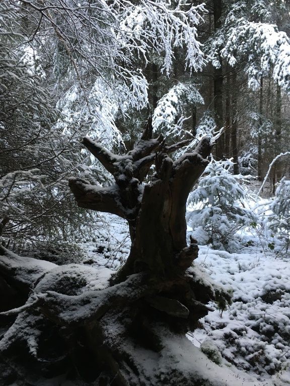 Hochwald – Pension Maßem